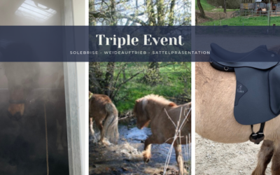 Triple Event
